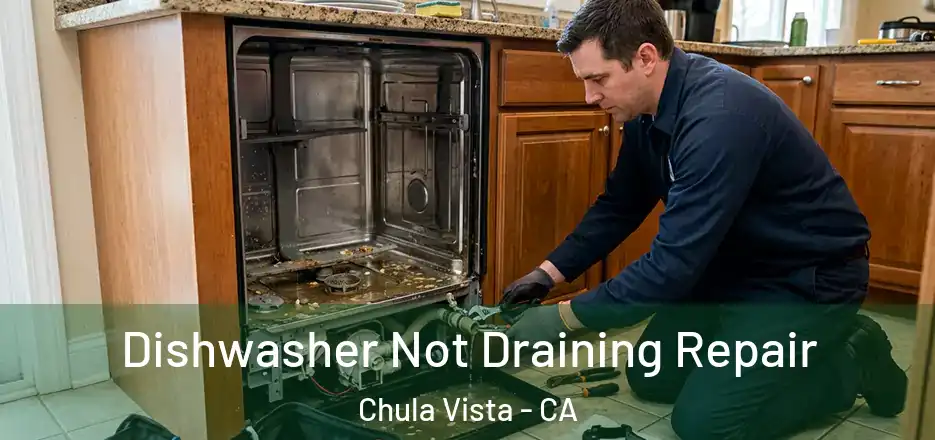Dishwasher Not Draining Repair Chula Vista - CA